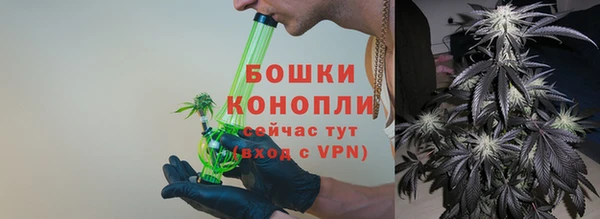 эйфоретик Бородино
