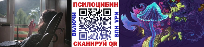 Псилоцибиновые грибы мицелий blacksprut сайт Югорск